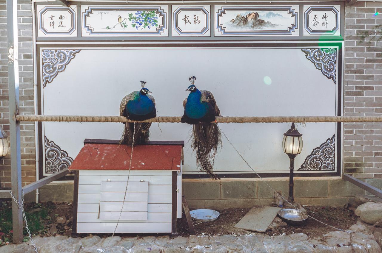 Yinfeng Hotel Dali  Eksteriør bilde